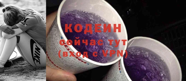 СК Инта