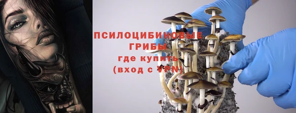 прущая мука Иннополис
